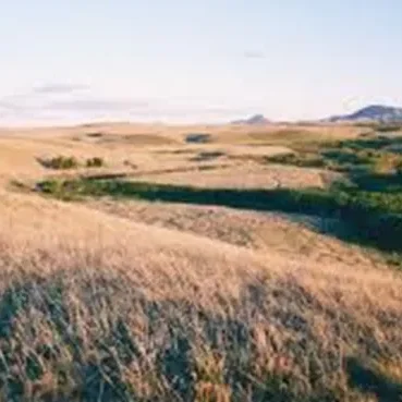 Bear Paw Battlefield